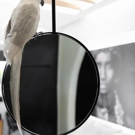 Portara Seaside Luxury 4* Naxos City