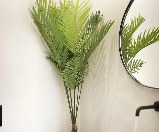 Portara Seaside Luxury Aparthotel